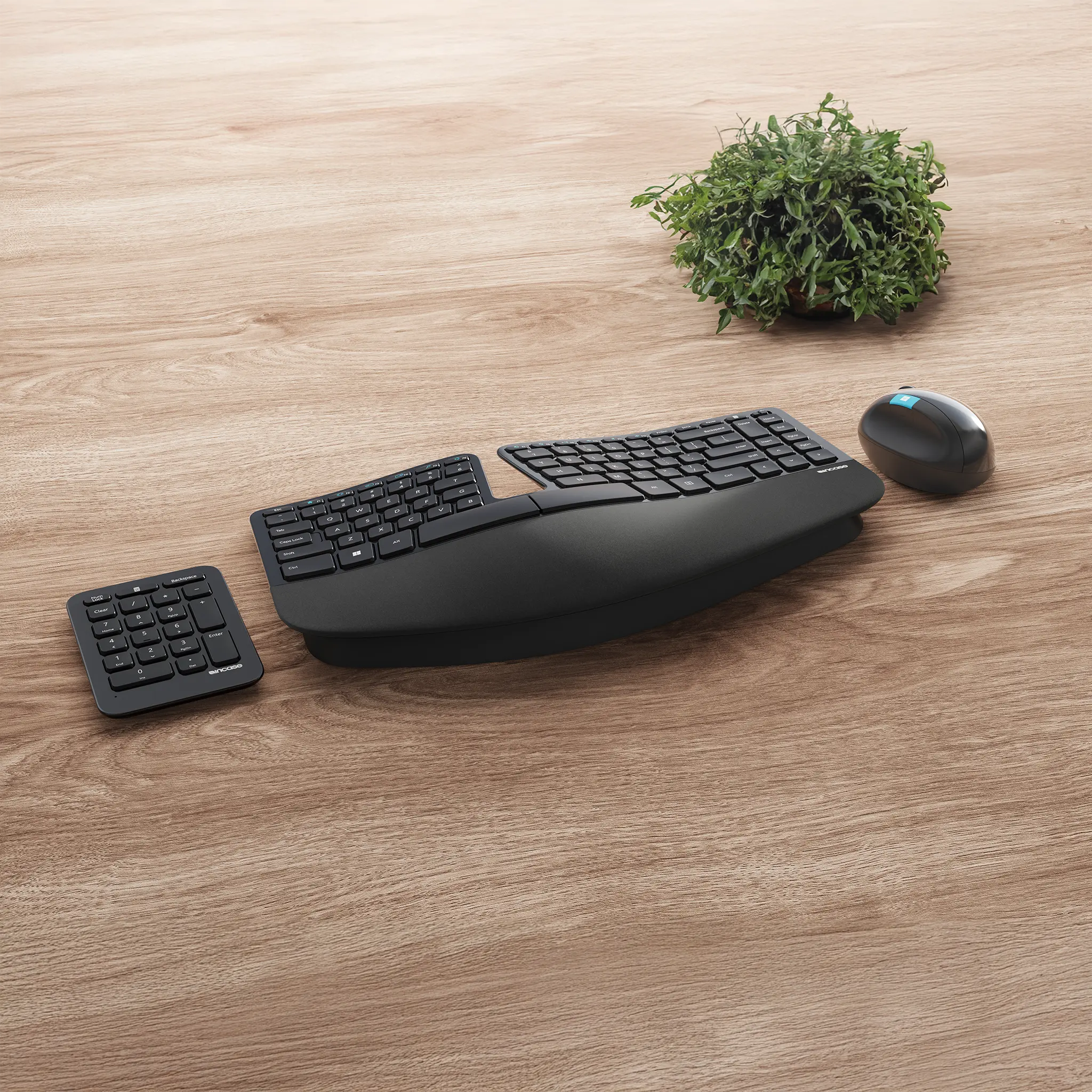 incase-sculpt-ergonomic-desktop-tastatur-maus-schwarz image 2